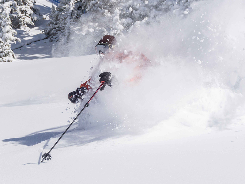 January 2025 Telluride Market Report Blog