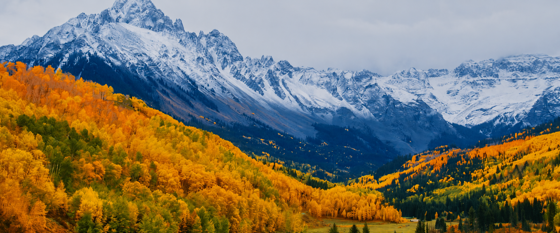 Telluride & Mountain Village Market Report August 2026